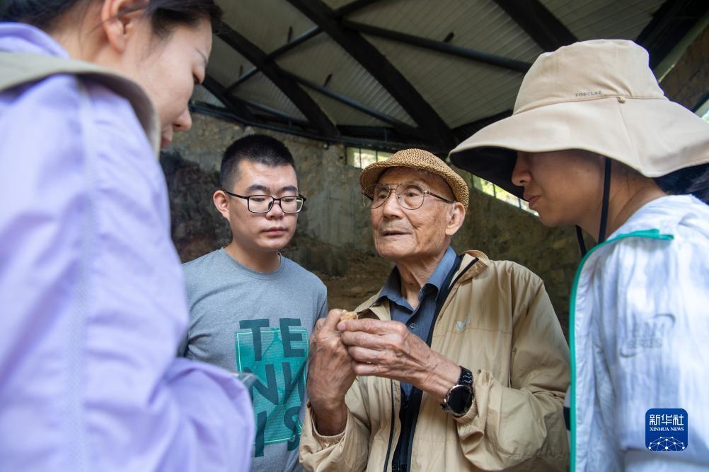 明星97水果机单机版